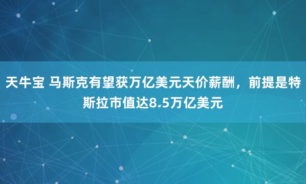 天牛宝 马斯克有望获万亿美元天价薪酬，前提是特斯拉市值达8.5万亿美元