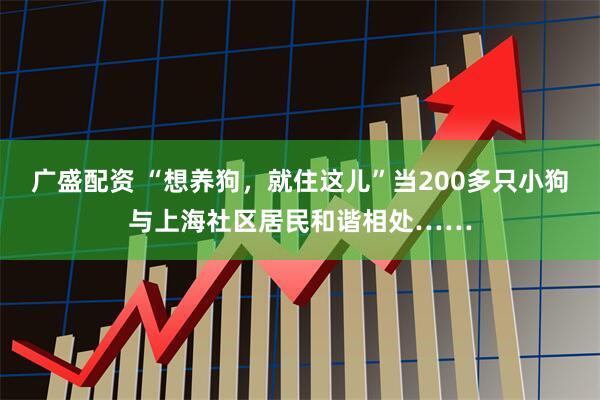 广盛配资 “想养狗，就住这儿”当200多只小狗与上海社区居民和谐相处……
