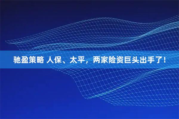 驰盈策略 人保、太平，两家险资巨头出手了！