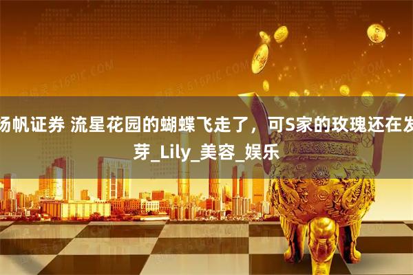 扬帆证券 流星花园的蝴蝶飞走了，可S家的玫瑰还在发芽_Lily_美容_娱乐