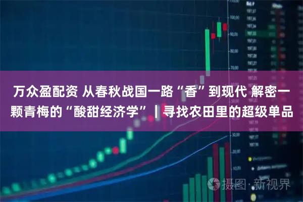 万众盈配资 从春秋战国一路“香”到现代 解密一颗青梅的“酸甜经济学”｜寻找农田里的超级单品